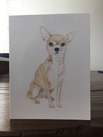 kaart chihuahua